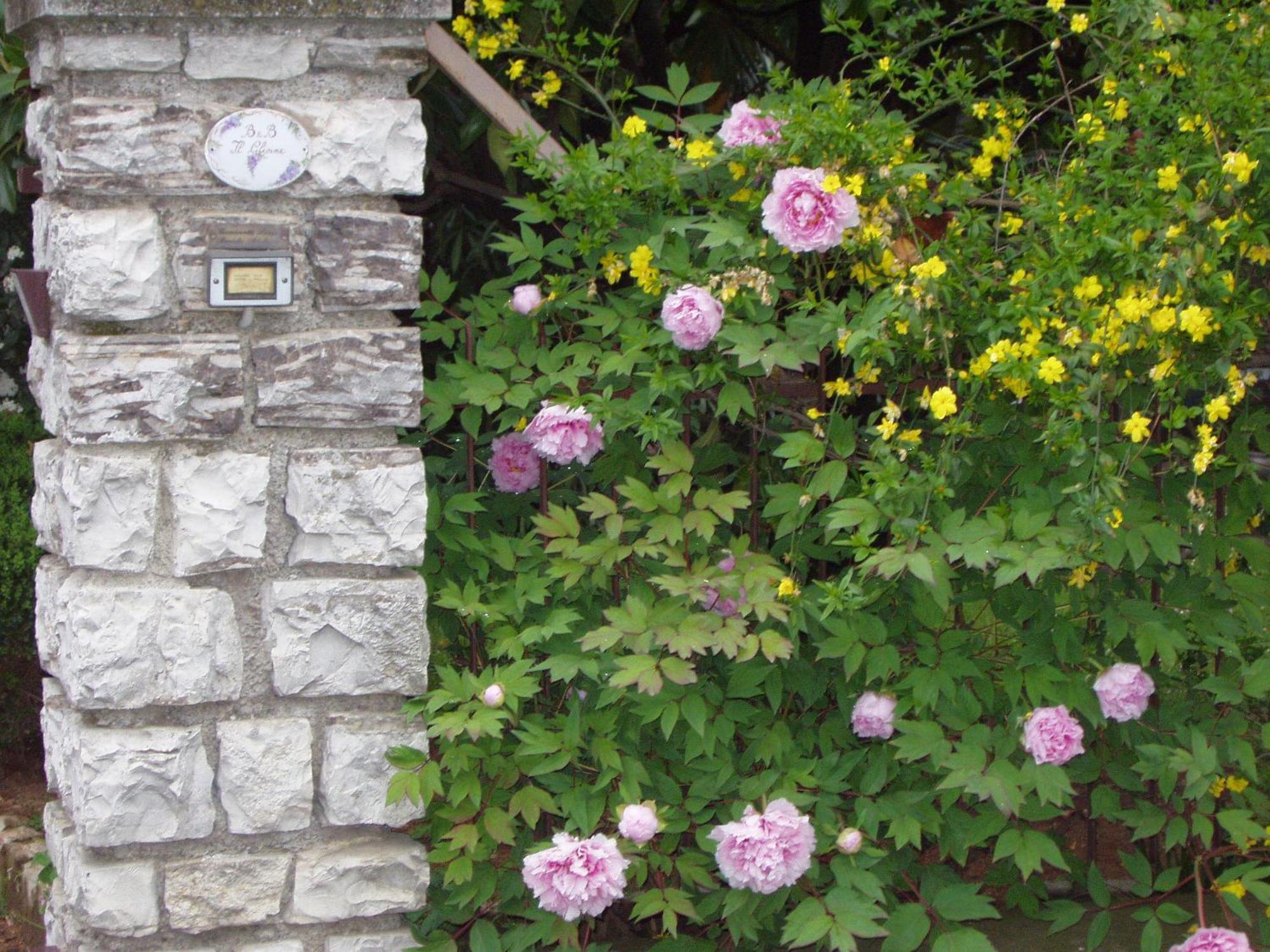 Bedizzole B&B Il Glicine מראה חיצוני תמונה