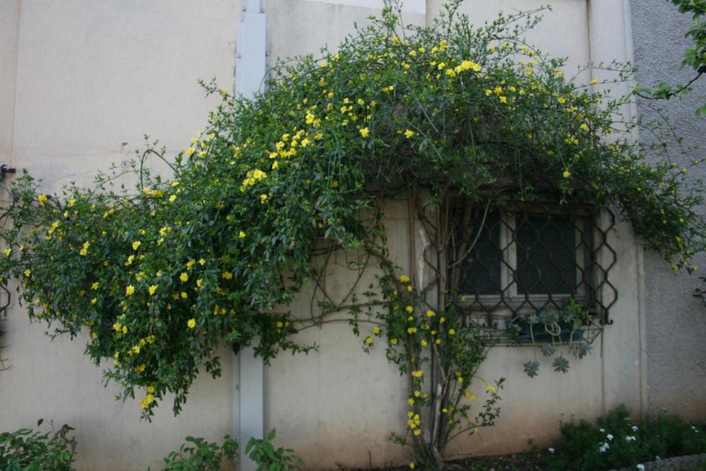 Bedizzole B&B Il Glicine מראה חיצוני תמונה